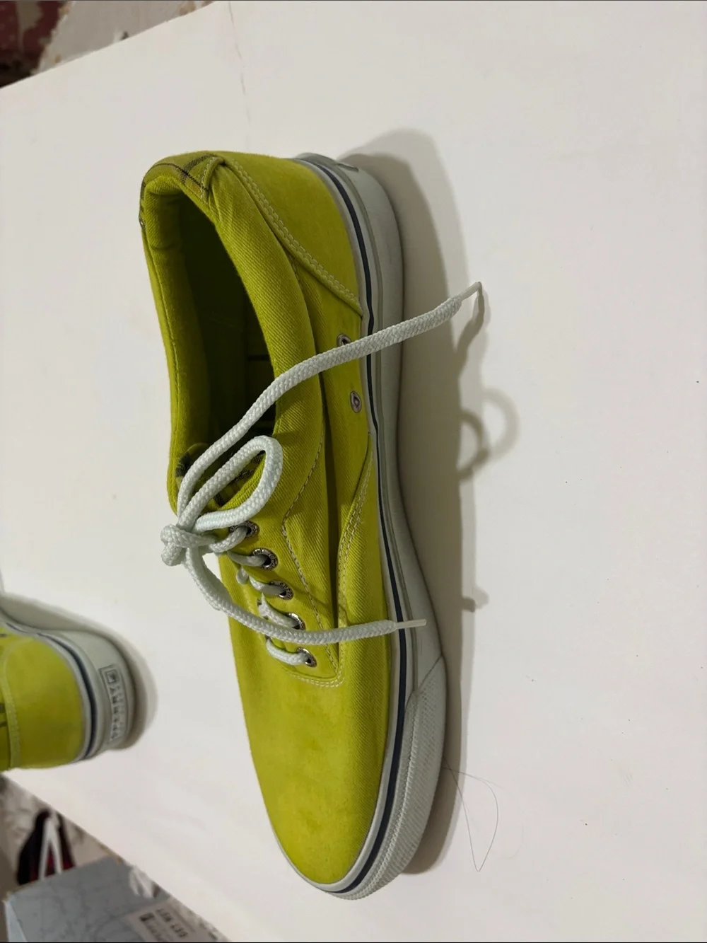 Sperry casual canvas